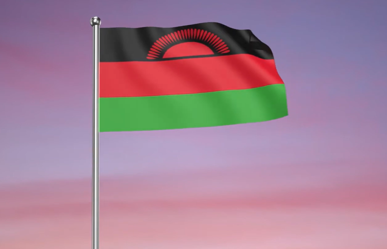 Malawi electronic components online - Malawi electronic components price list - Malawi flag